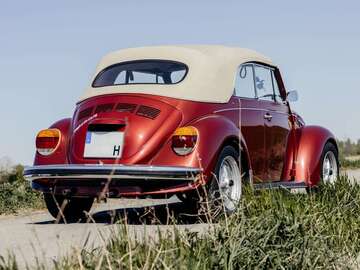 Gebrauchte VW Käfer